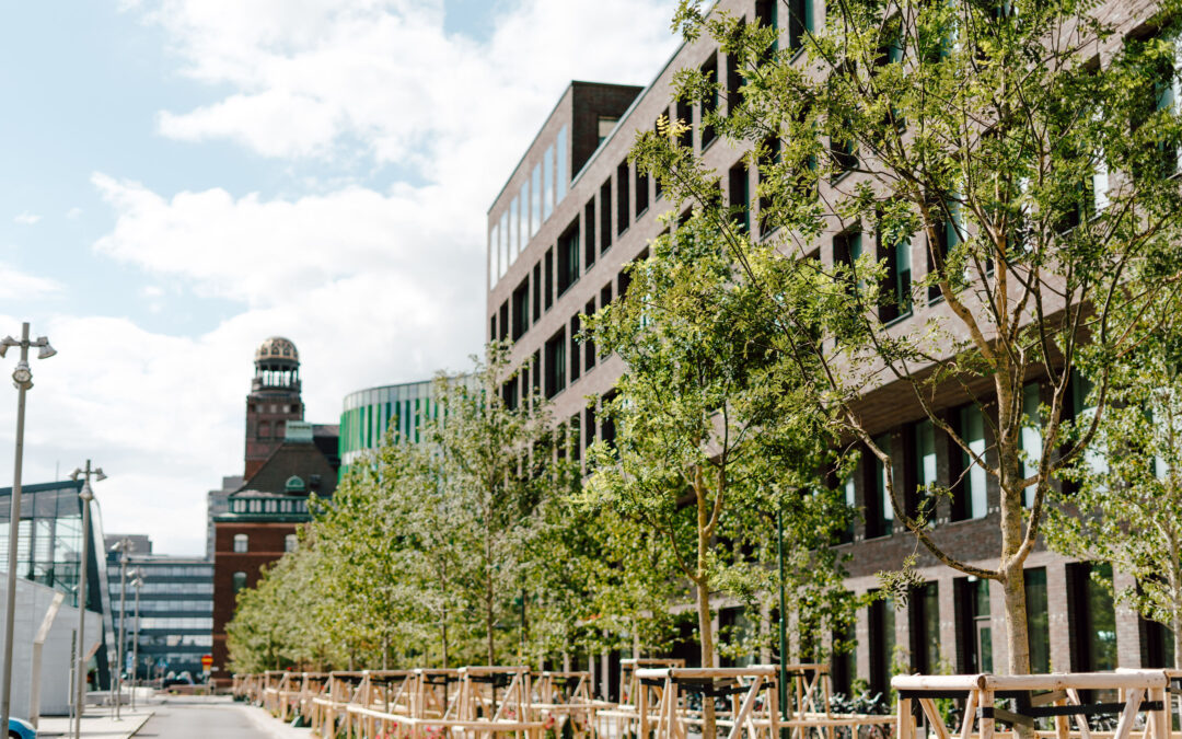 Är din års- och hållbarhetsredovisning integrerad – eller bara rörig?