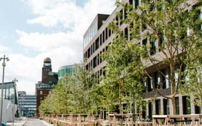 Är din års- och hållbarhetsredovisning integrerad – eller bara rörig?